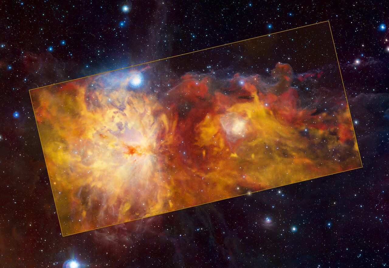 NGC 2024