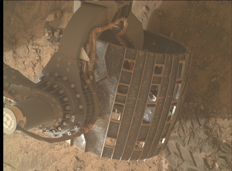 Curiosity