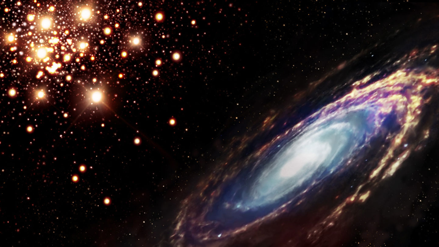M81