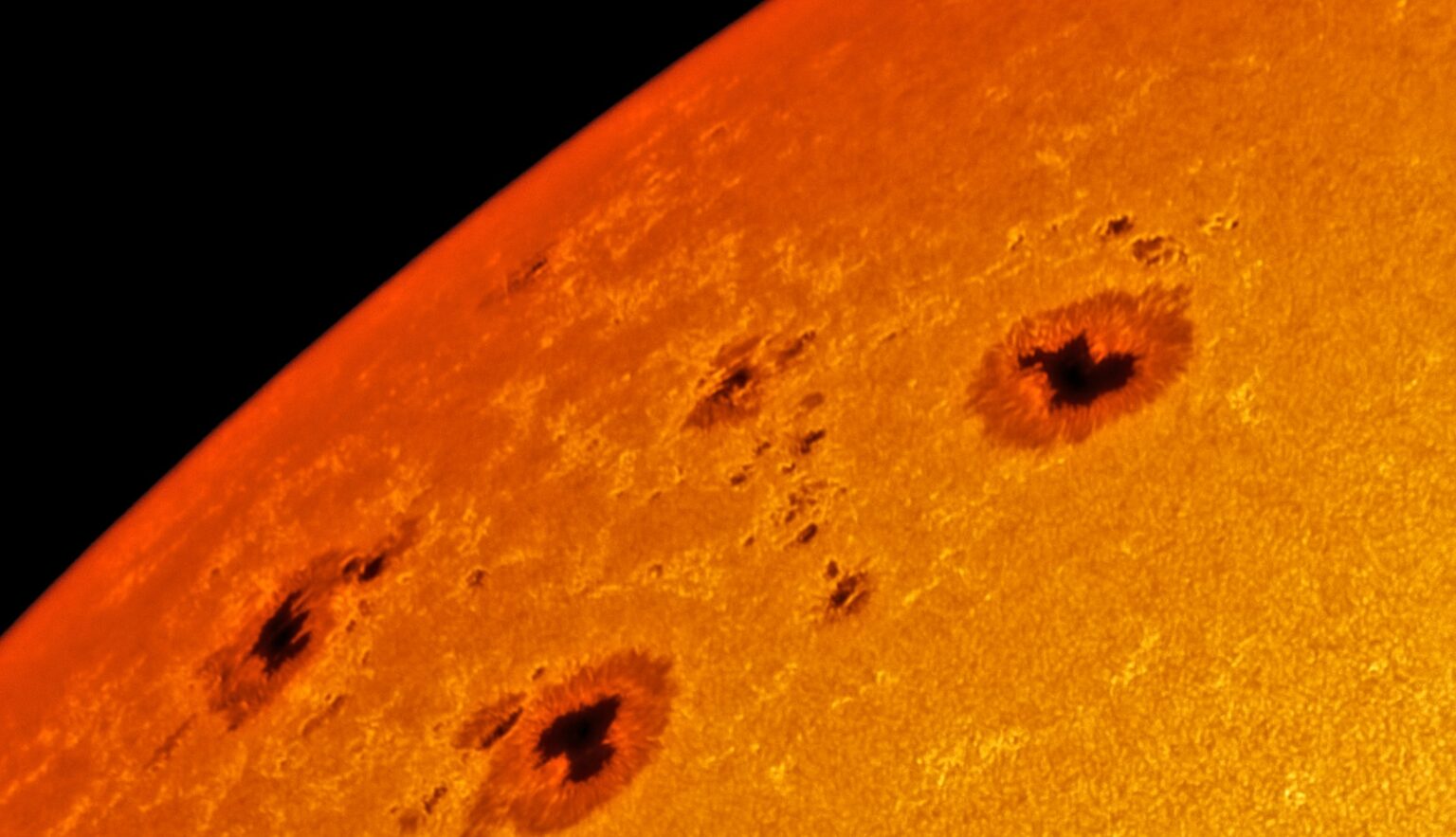 AR2993