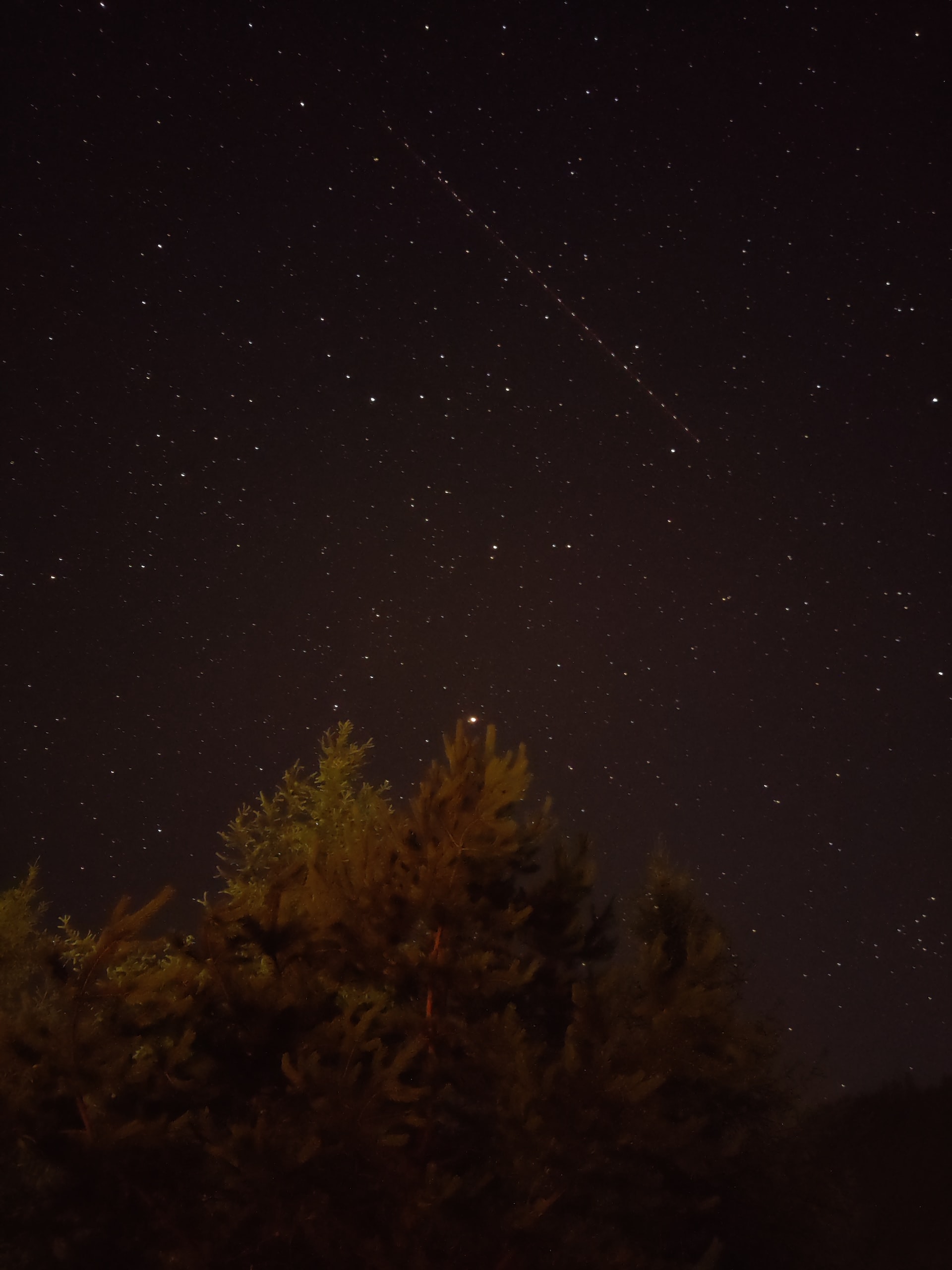 Супутники Starlink у небі
