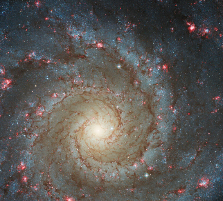 https://dev.universemagazine.com/wp-content/uploads/2022/08/potw2235a.jpg
