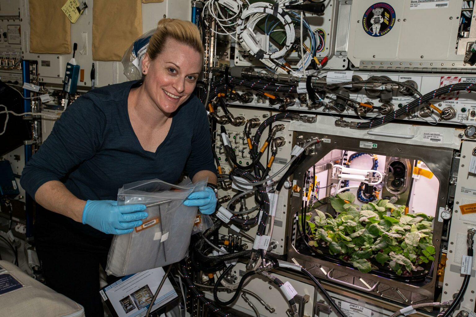 https://dev.universemagazine.com/wp-content/uploads/2022/09/radish_harvest_kate_rubins.jpg