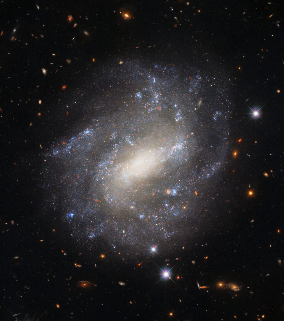 UGC 9391