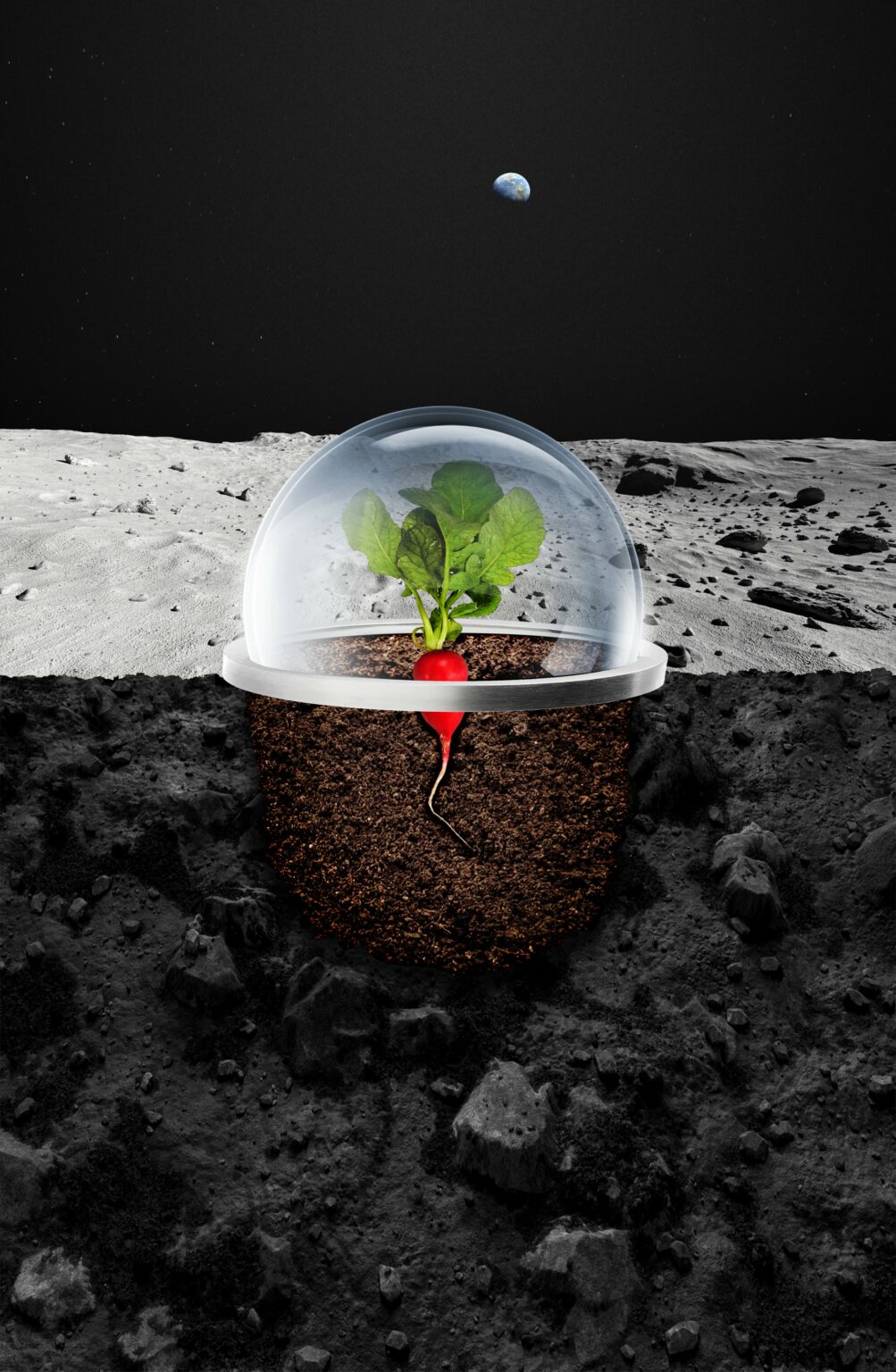 https://dev.universemagazine.com/wp-content/uploads/2022/10/image00001.jpg