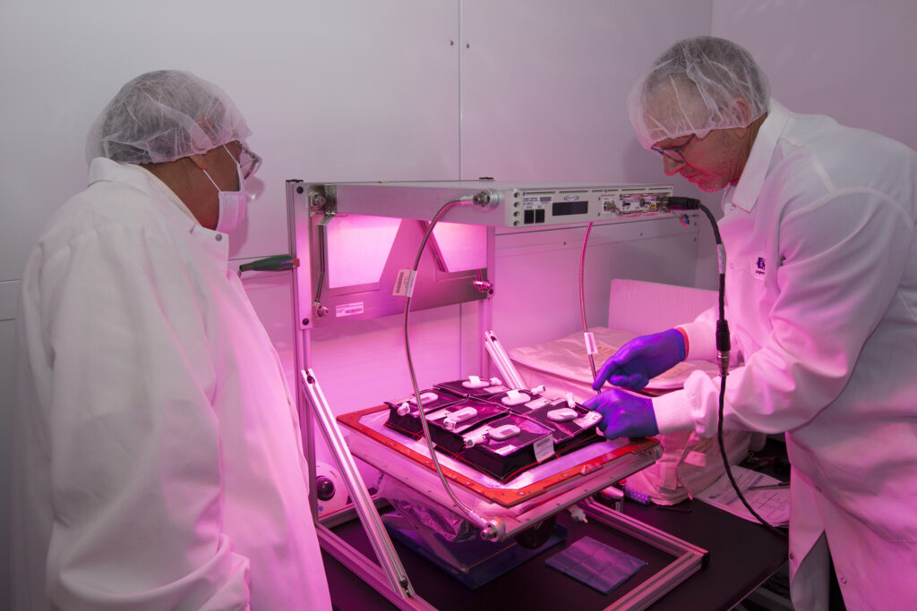 https://dev.universemagazine.com/wp-content/uploads/2022/10/veggie_ksc_activation1.jpg
