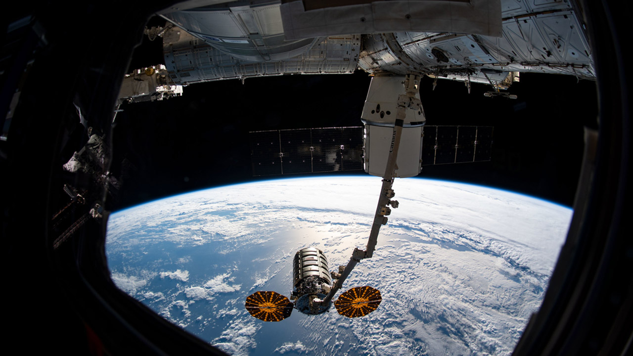 Cygnus