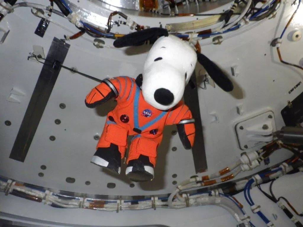Індикатор невагомості Snoopy