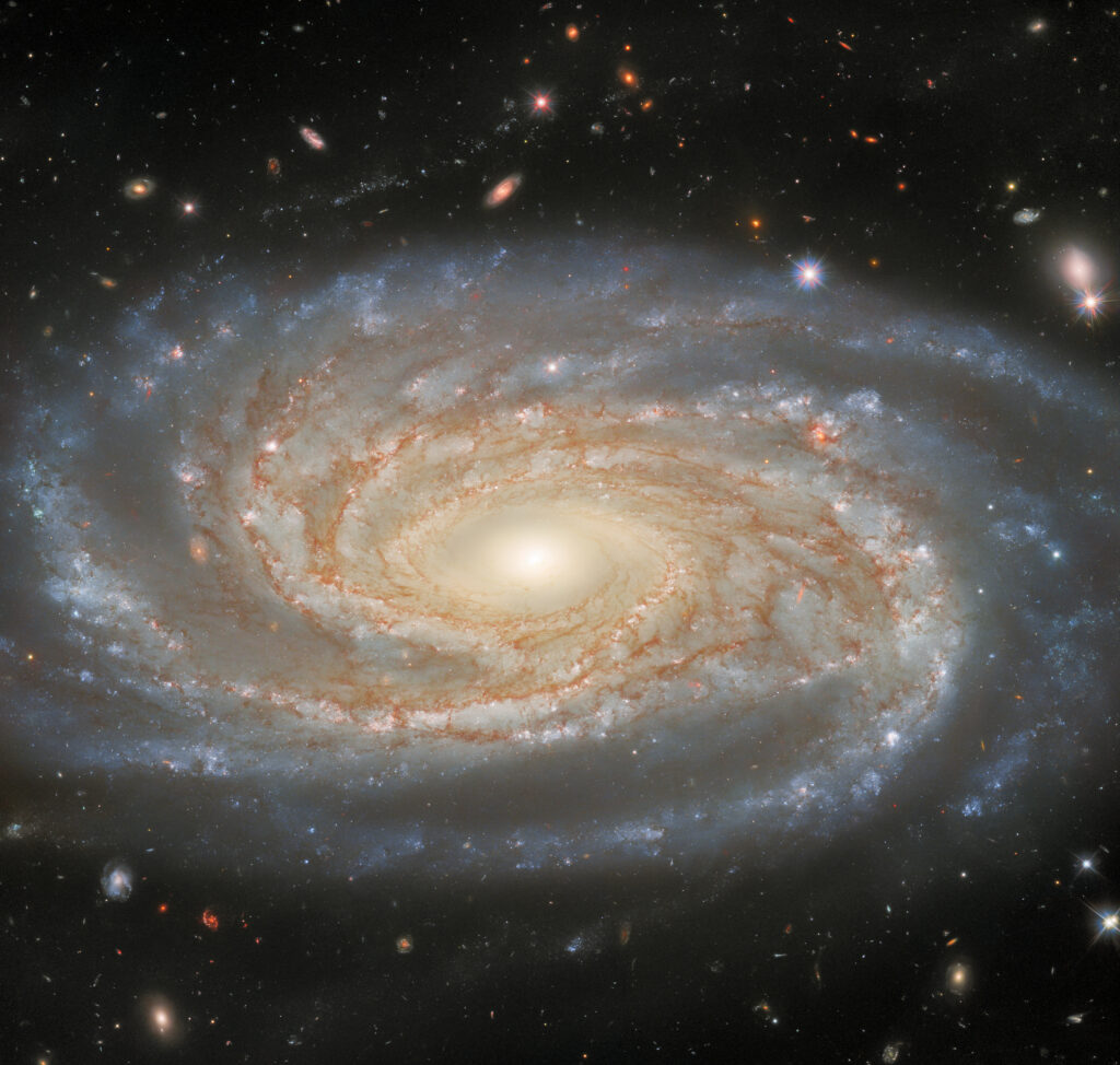 https://dev.universemagazine.com/wp-content/uploads/2022/12/ngc7038_-_hst_-_potw2245a.jpg