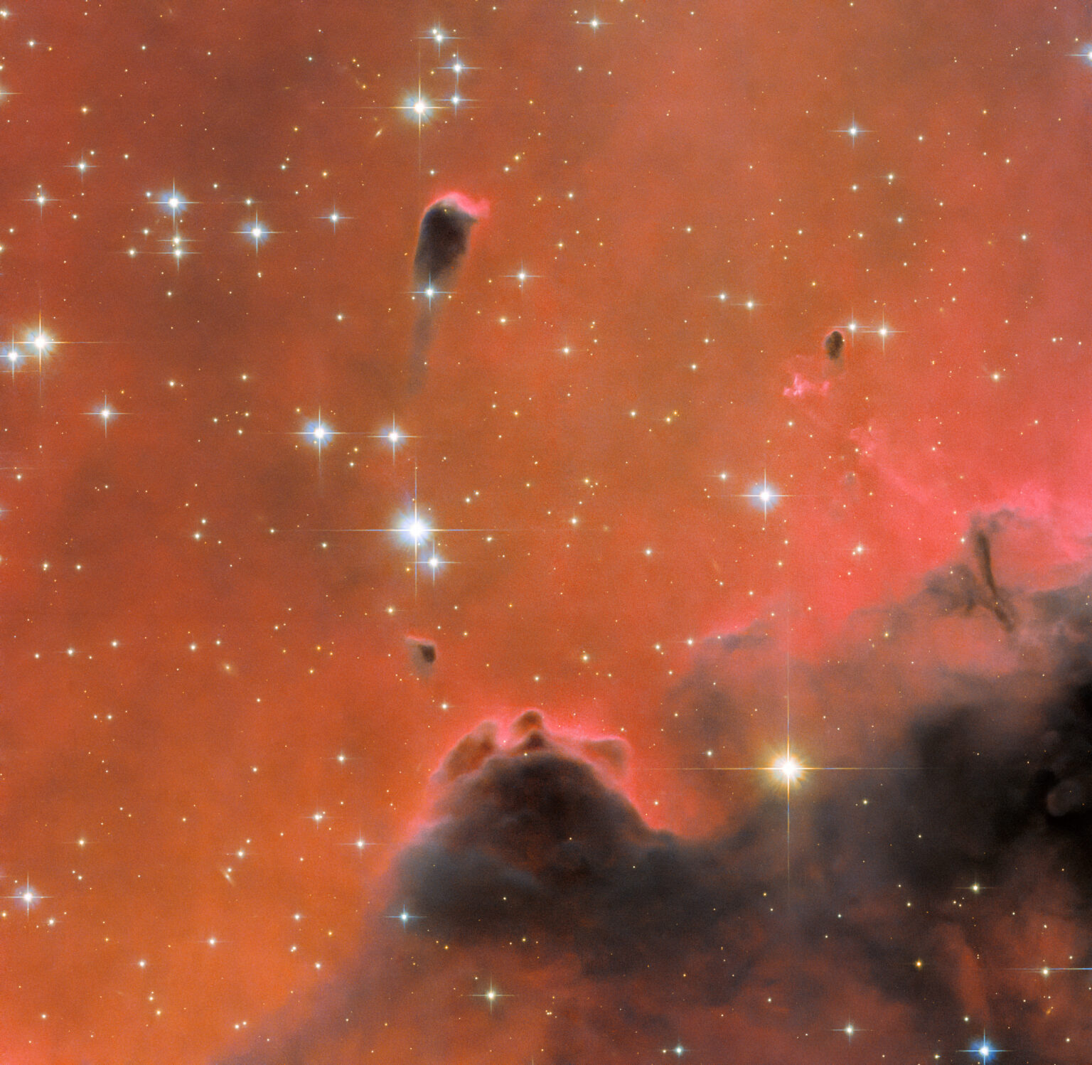 https://dev.universemagazine.com/wp-content/uploads/2022/12/potw2251a.jpg