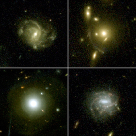 COSMOS-Web NIRCam