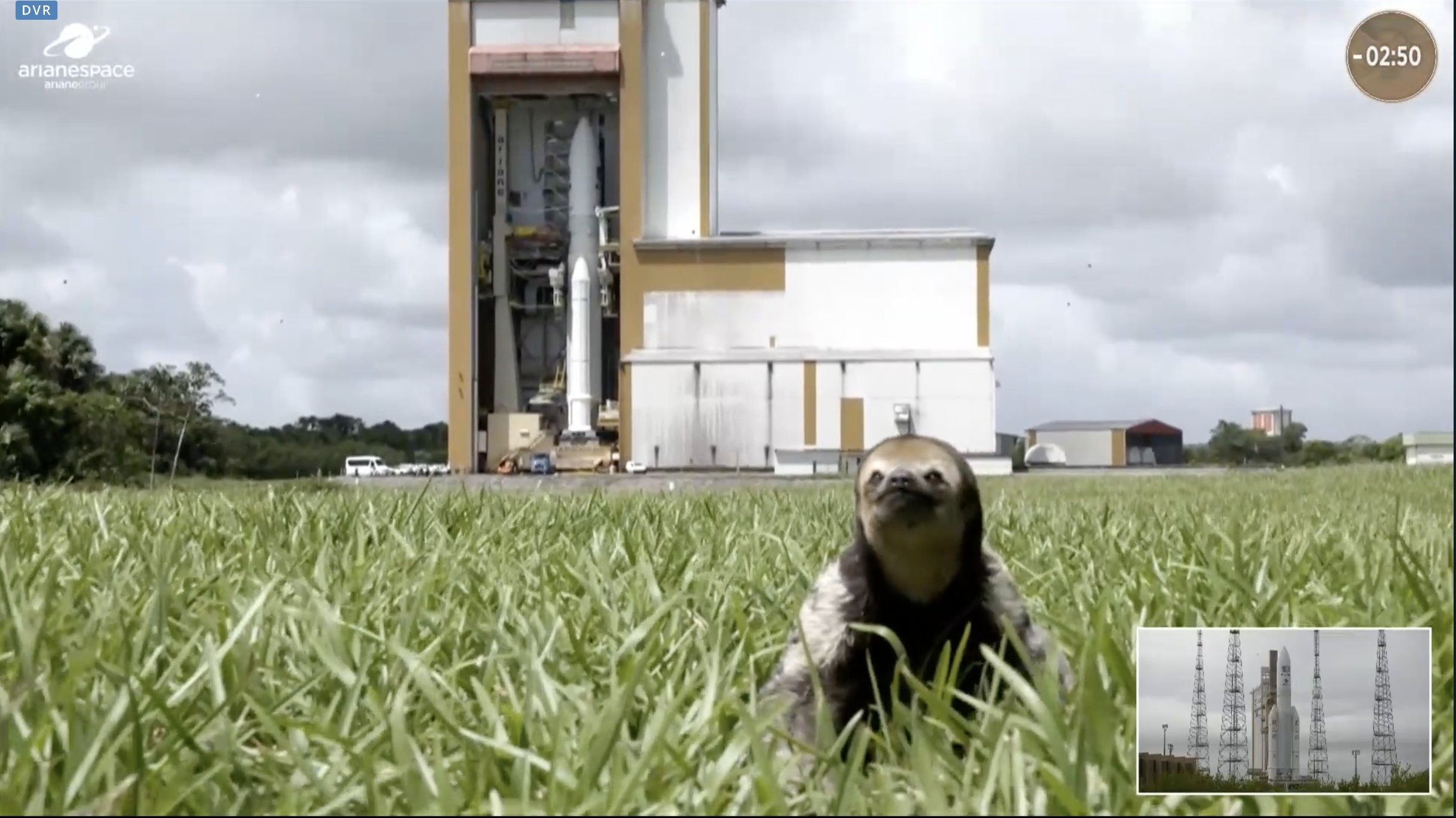 Ariane 5