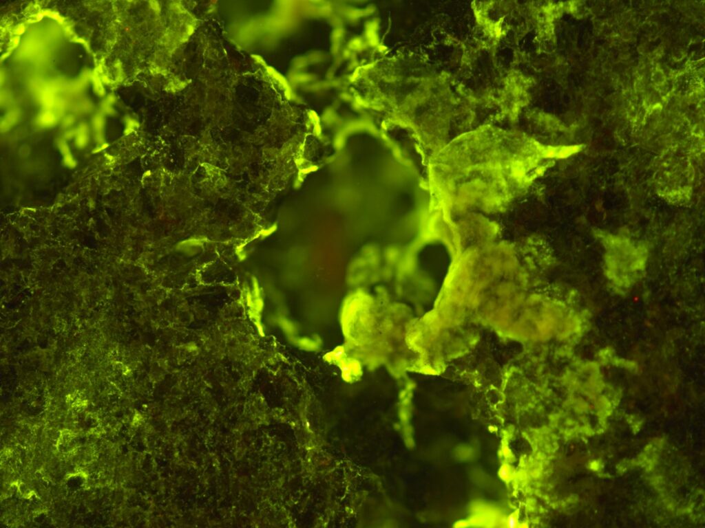 https://dev.universemagazine.com/wp-content/uploads/2023/04/imagebiorock.jpg