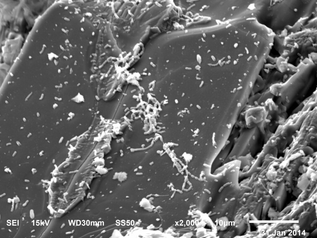 https://dev.universemagazine.com/wp-content/uploads/2023/04/sem-ch34-basalt-5.jpg