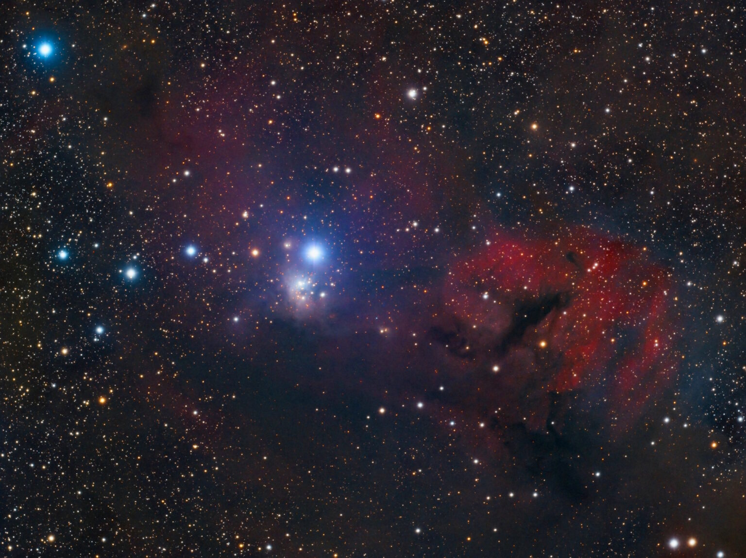 IC 348