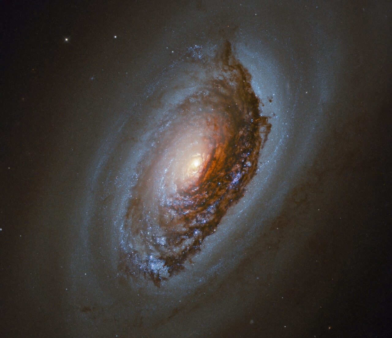 M64