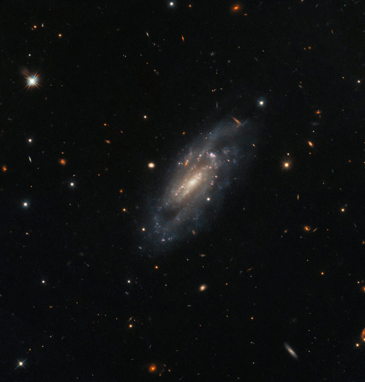 UGC 11860