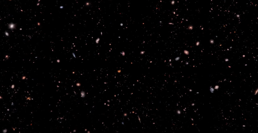Maisie Galaxy