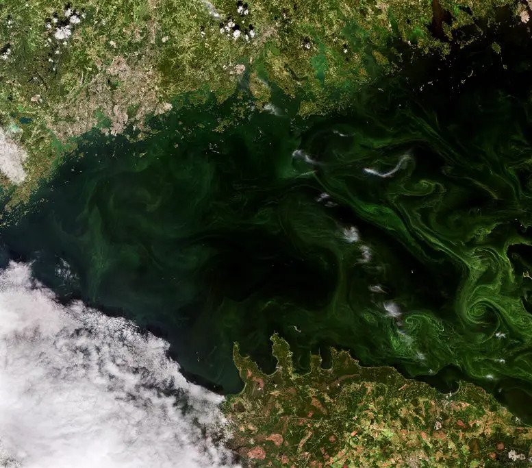 Водовороти
