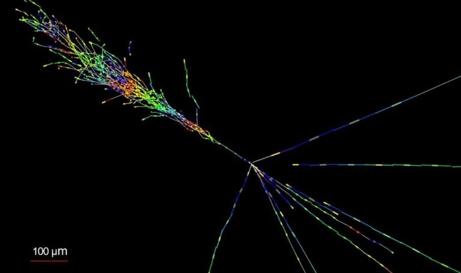 CERN