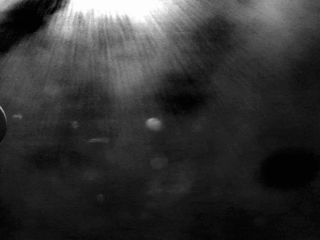 OSIRIS-REx