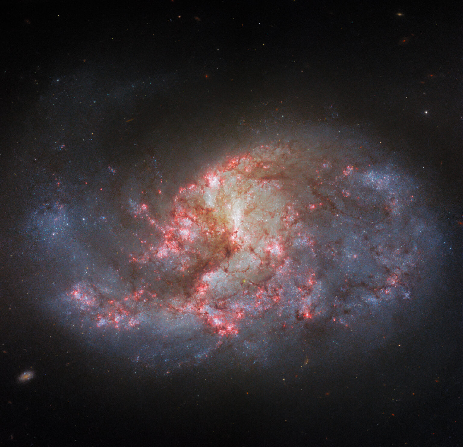 https://dev.universemagazine.com/wp-content/uploads/2023/11/potw2346a-scaled.jpg