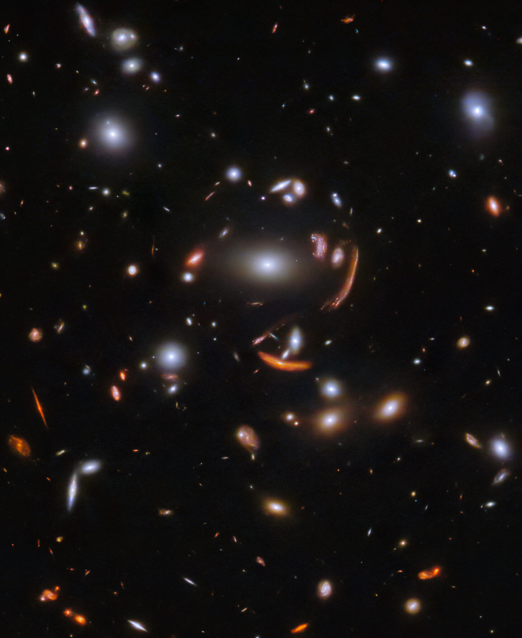 https://dev.universemagazine.com/wp-content/uploads/2023/12/potm2312a-scaled.jpg