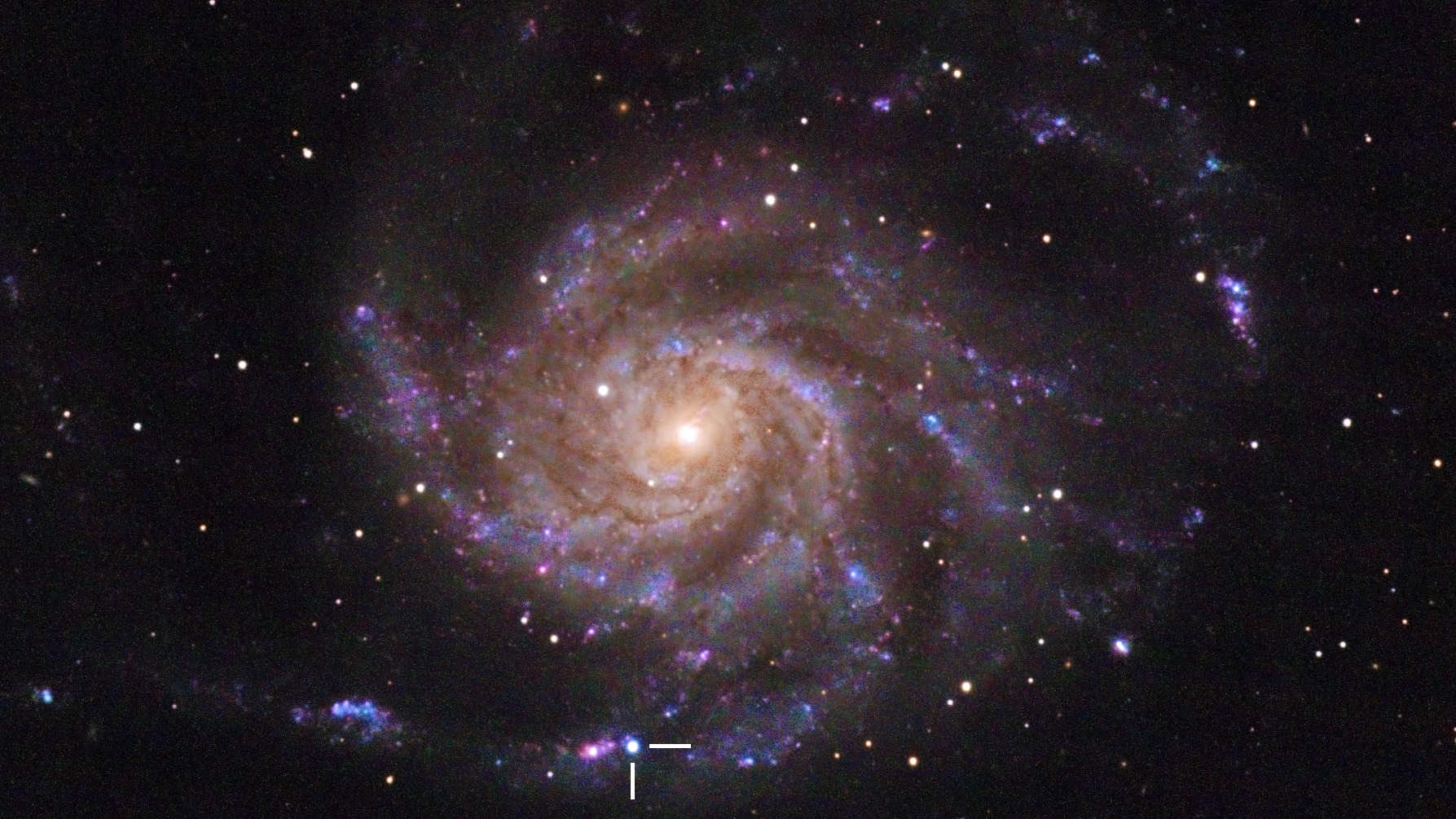SN 2023ixf