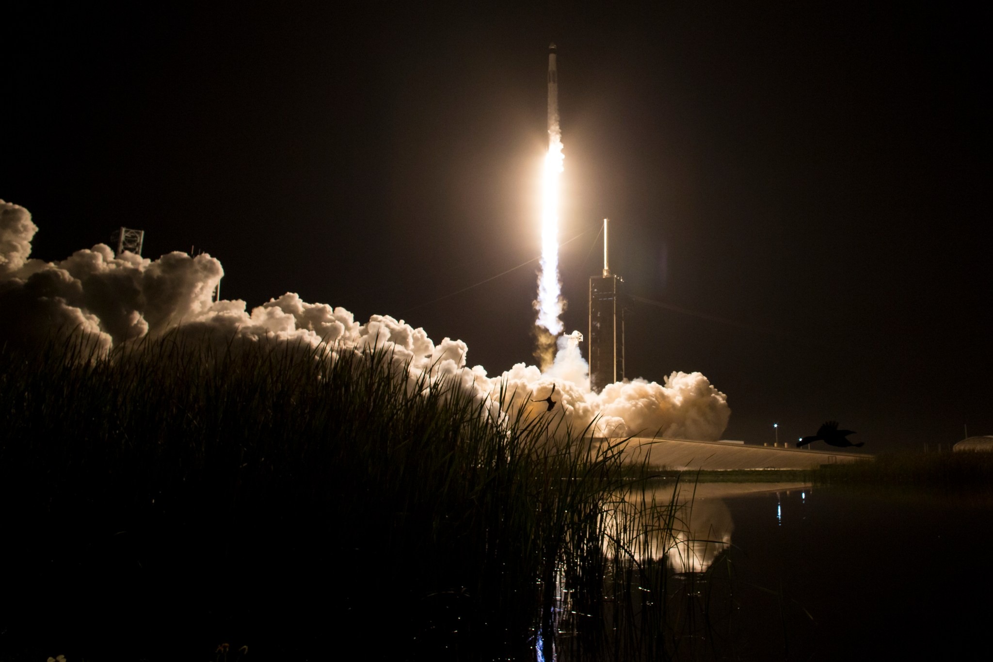 SpaceX Crew-8
