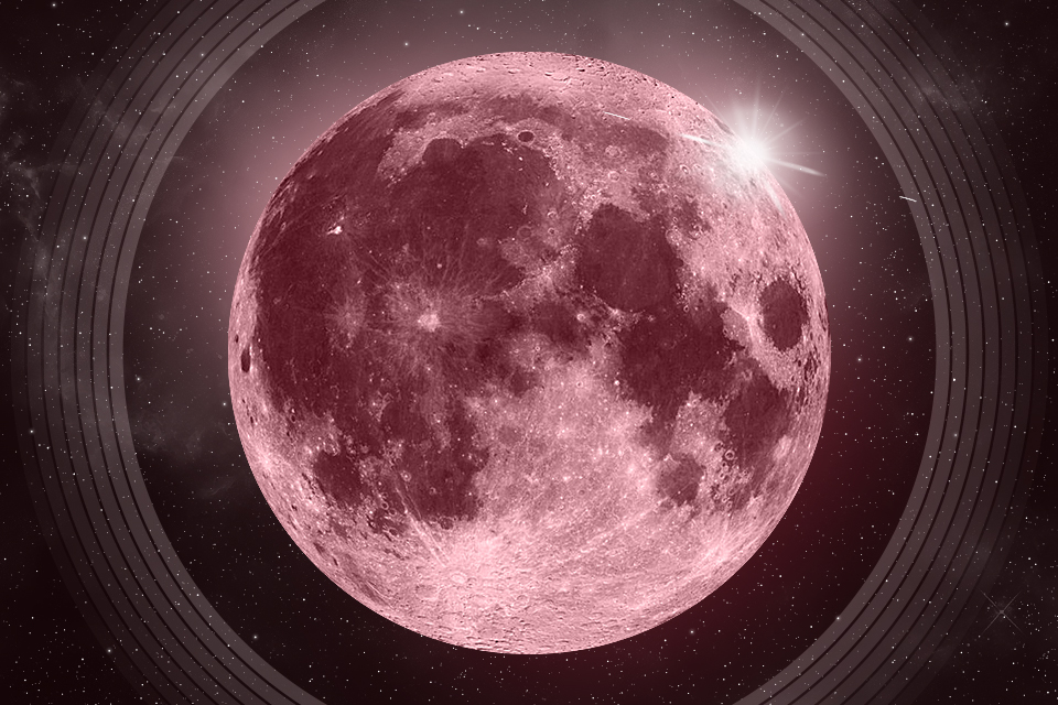Pink Moon