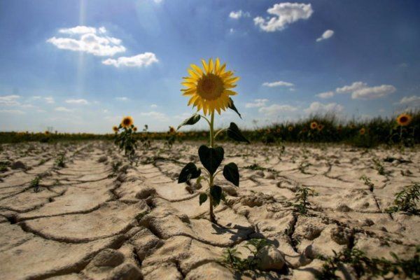 Посуха та виснаження ґрунтів — одна з головних проблем сучасного агробізнесу Посуха та виснаження ґрунтів — одна з головних проблем сучасного агробізнесу