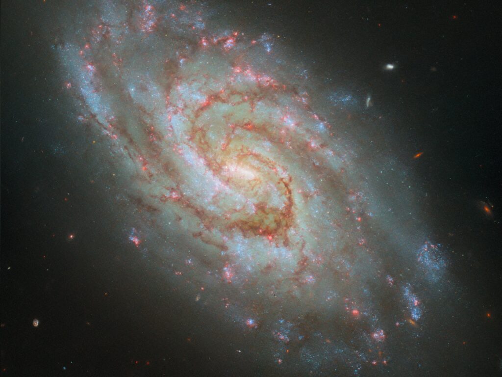Галактика IC 1954 Галактика IC 1954