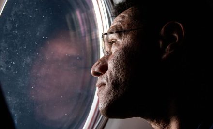 SpaceX Dragon Freedom