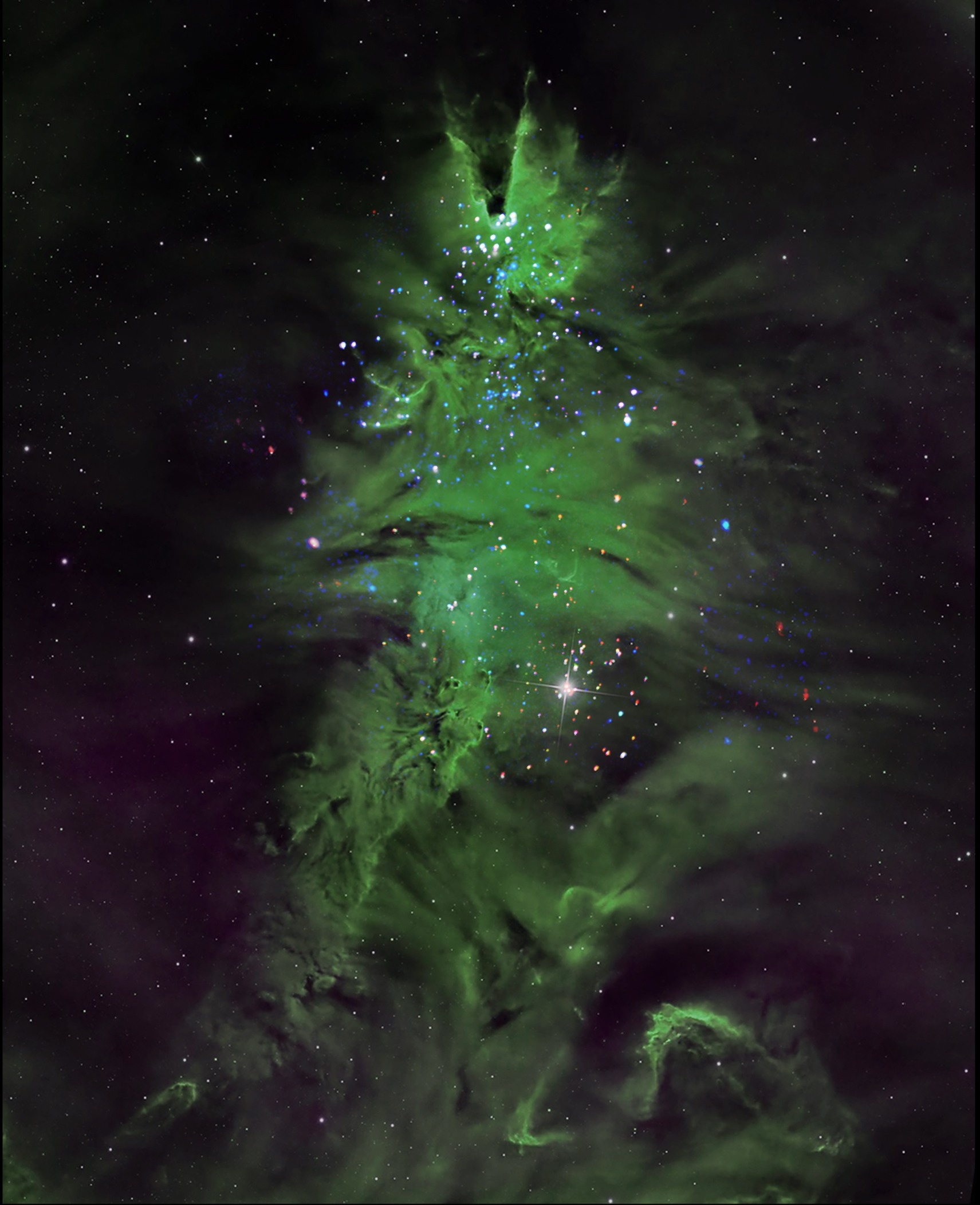 NGC 2264