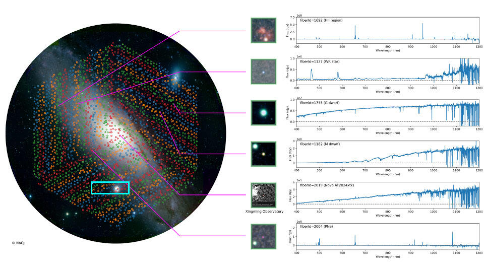 Prime Focus Spectrograph