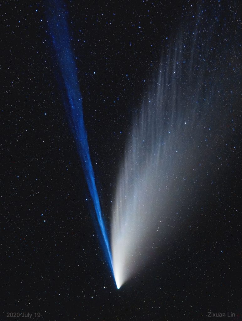 comets. The Structured Tails of Comet NEOWISE

