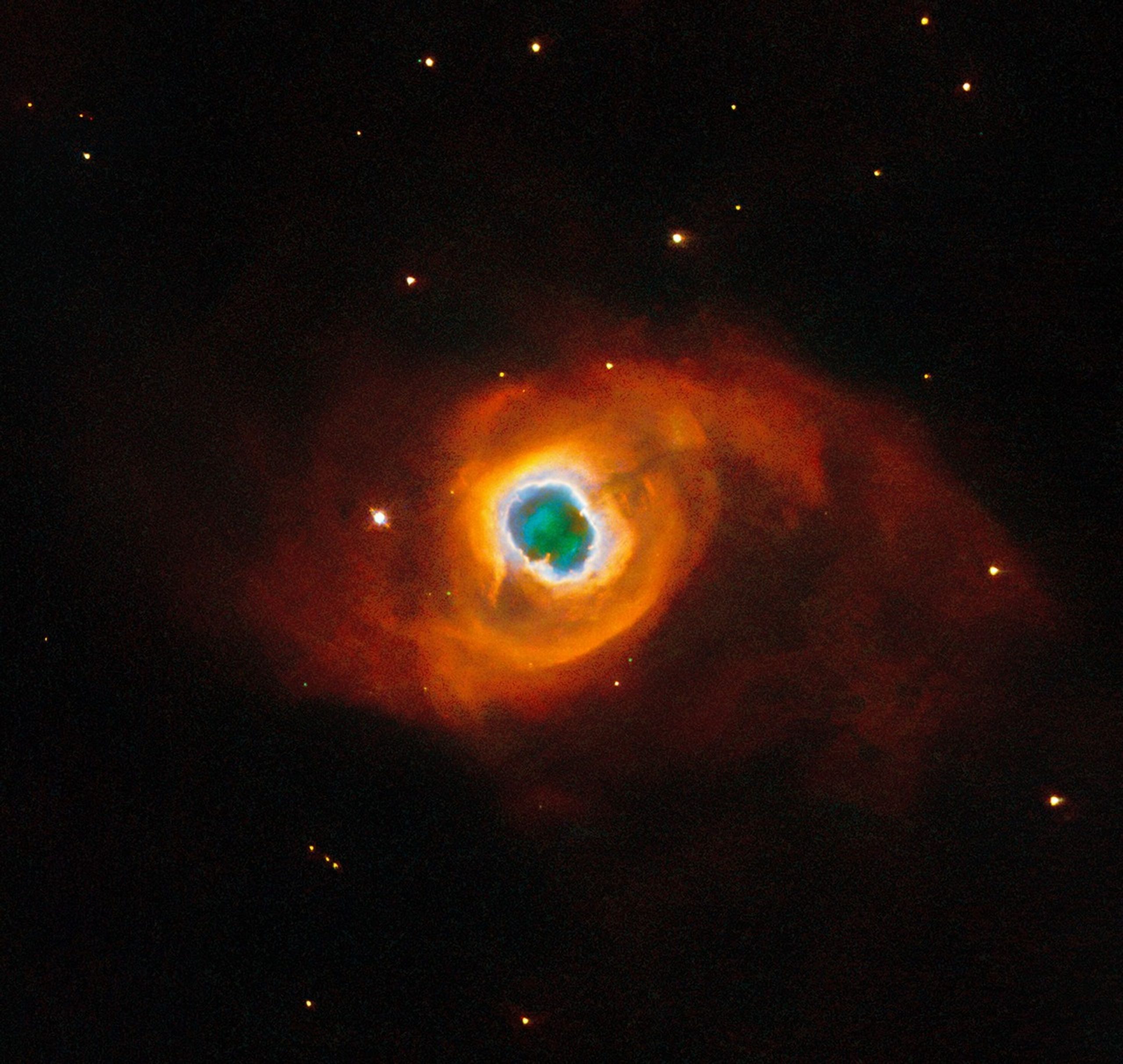 Kohoutek 4-55