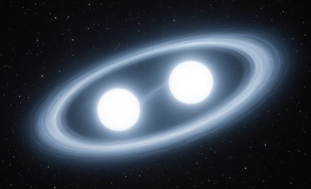 White dwarfs