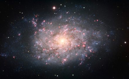NGC 7793