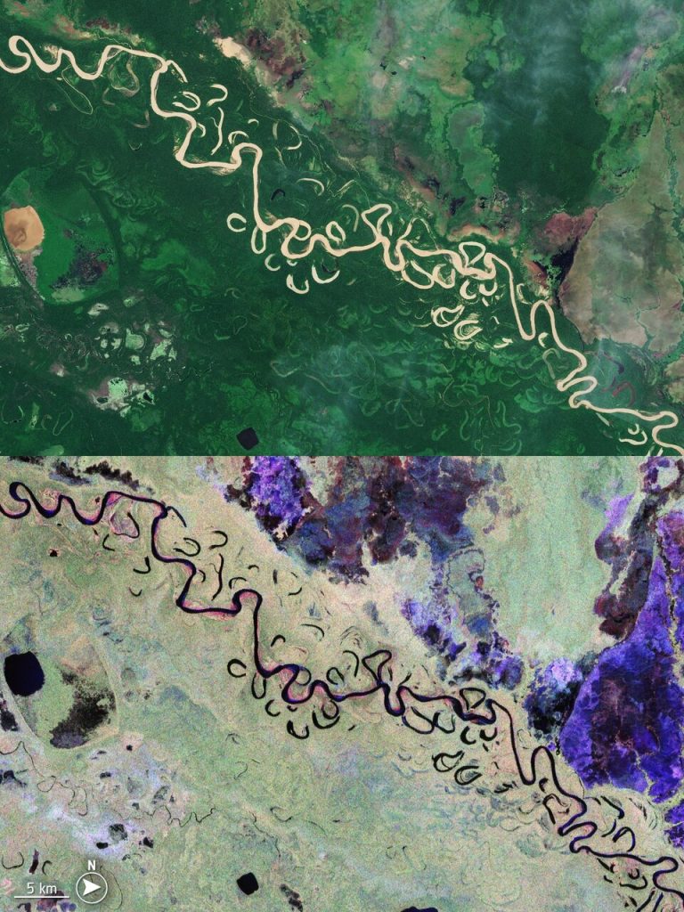 Сравнение изображений Biomass и Sentinel-2