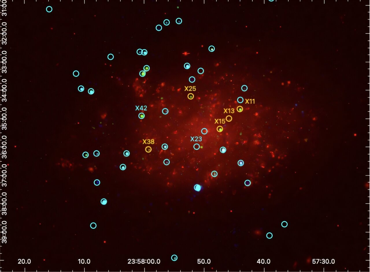 NGC 7793