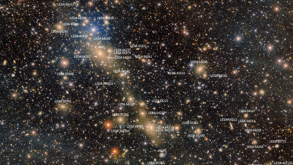 IC 4965