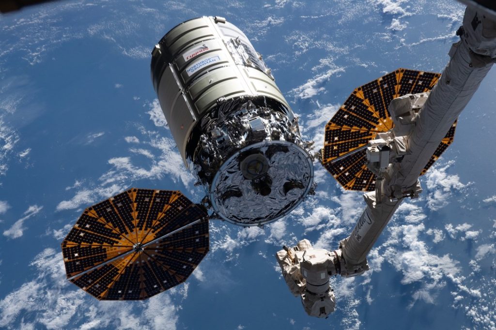 Cygnus
