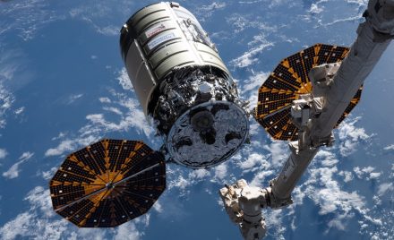 Cygnus