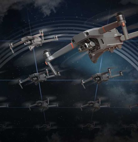 swarm