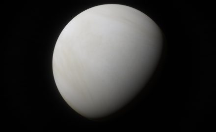 Venus