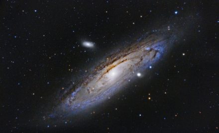 M31