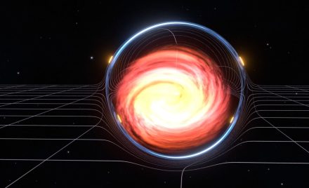 SN 2025wny