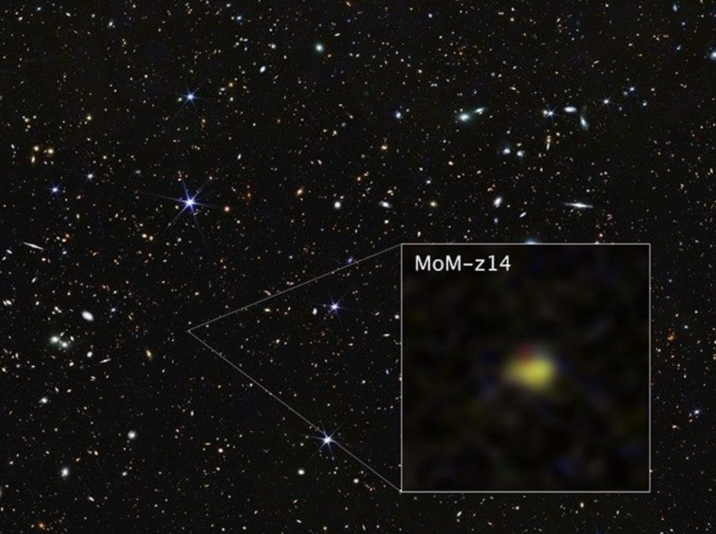 MoM-z14