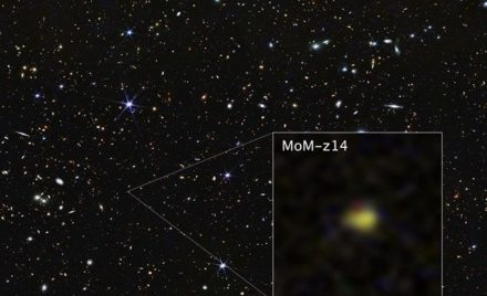MoM-z14